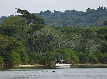 Rubondo Island Camp: Ausflug mit einem Boot Rubondo Island Camp: Ausflug mit einem Boot