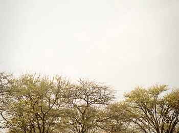 Serian Serengeti Mobile Camp: Gemeinschaftszelt