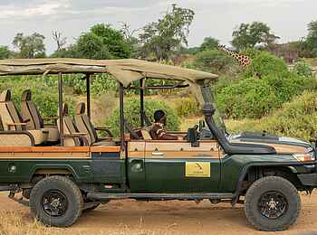 Soroi Samburu Lodge: Giraffen auf Pirschfahrt beobachten