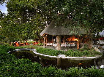 Thamalakane River Lodge: Parkanlage Thamalakane River Lodge: Parkanlage