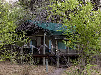 Thamo Telele Camp: Gästezelt Thamo Telele Camp: Gästezelt