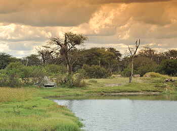 The Hide: Beobachtungsunterstand am Wasserloch The Hide: Beobachtungsunterstand am Wasserloch