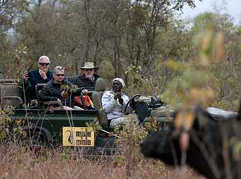 MalaMala Camp: Game Drive mit Büffeln MalaMala Camp: Game Drive mit Büffeln