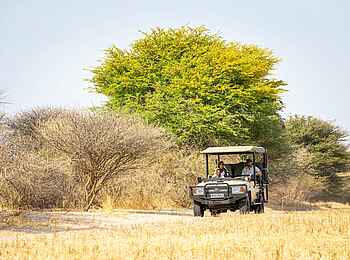 Evolve Back Gham Dhao Lodge: Game Drive