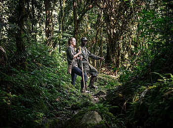 Gorilla Forest Lodge: Gorilla Trekking Gorilla Forest Lodge: Gorilla Trekking