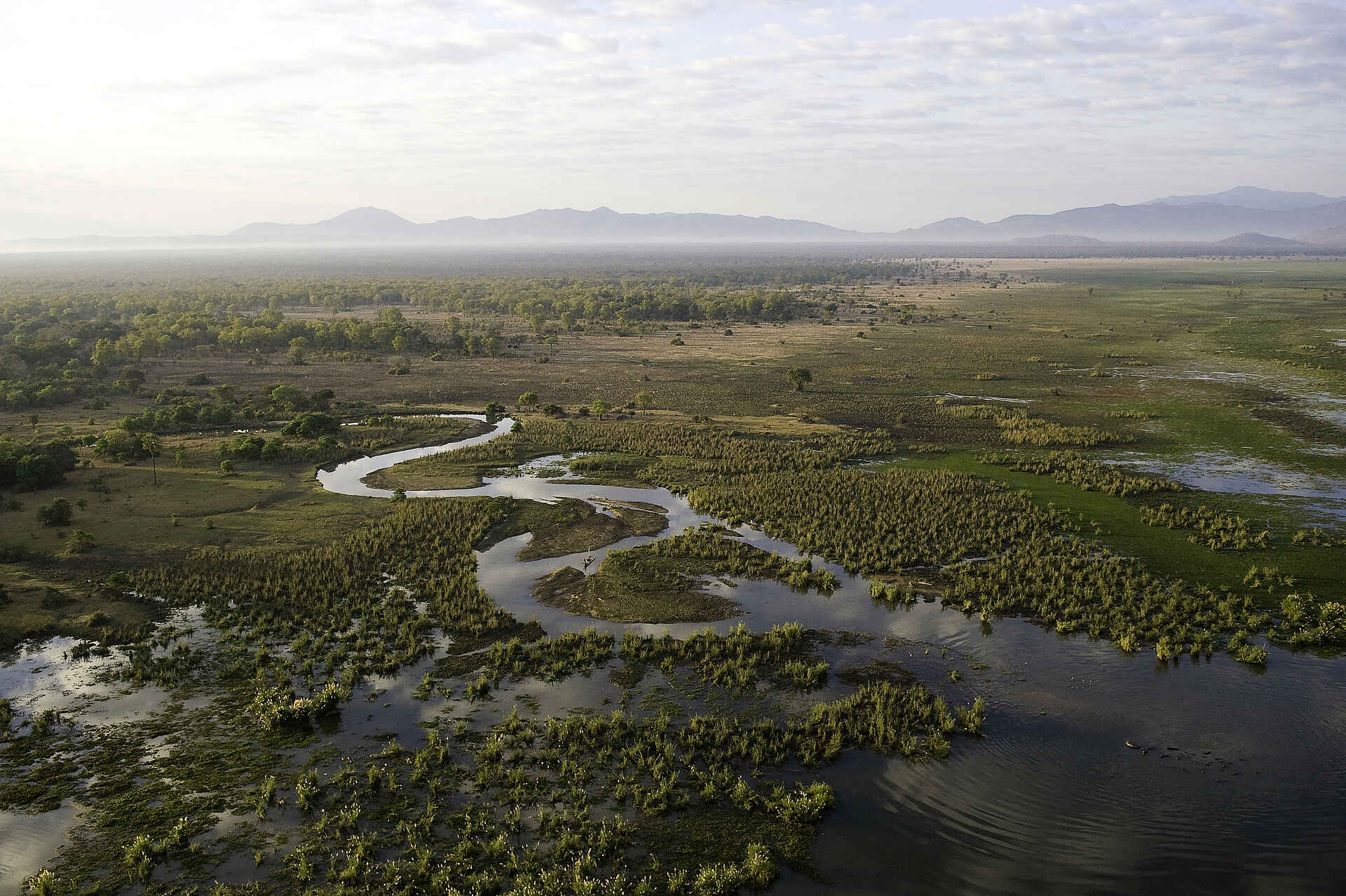 Afrika, afrikarma, Elefant, Hippo, Liwonde, Liwonde Nationalpark, Malawi, Motorbootsafari, Mvuu, Mvuu Camp, Mvuu Wilderness Camp, Nashorn, national park, Nilpferd, Reise, Reisen, Reiseveranstalter, Rhino Sanctuary, Safari, Sanctuary, Schutzgebiet, Shire, Spitzmaulnashorn, Urlaub, Wilderness Safaris, Floodplains, Fluss, Landschaft, Luftaufnahme, Luftbild, Sumpf, Wasser
