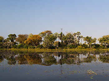 Pelo Camp: Das Pelo Island Pelo Camp: Das Pelo Island
