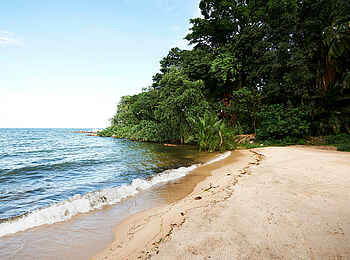 Rubondo Island Camp: Der Strand Rubondo Island Camp: Der Strand