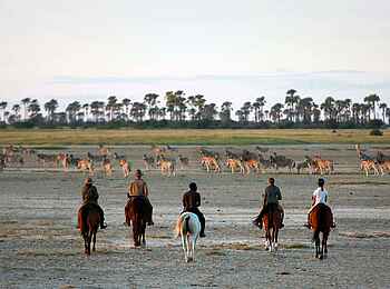 San Camp: Reitsafari