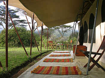 Saruni Wild: Klassischer Stil Saruni Wild: Klassischer Stil