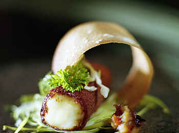 Sausage Tree Camp: Vorspeise