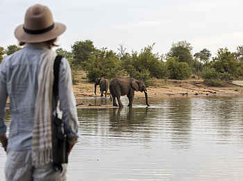 Simbavati Waterside Lodge: Auf Wandersafari Simbavati Waterside Lodge: Auf Wandersafari