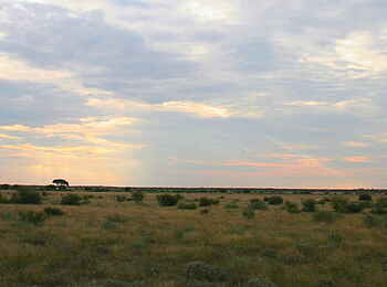 Tau Pan Camp: Tau-Pfanne