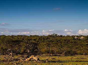 Ol Seki Hemingways Mara: Die Zelte des Camps schmiegen sich in die Landschaft