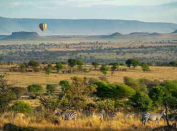 Warangi Ridge Lodge: Ballonsafari mit Zebras