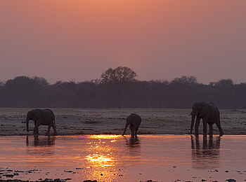 Bomani Tented Lodge: Sonnenuntergang