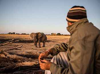 Camp Camp Hwange: Versteck am Wasserloch