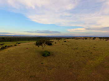 Enjojo Lodge: Savanne im Ishasha-Sektor