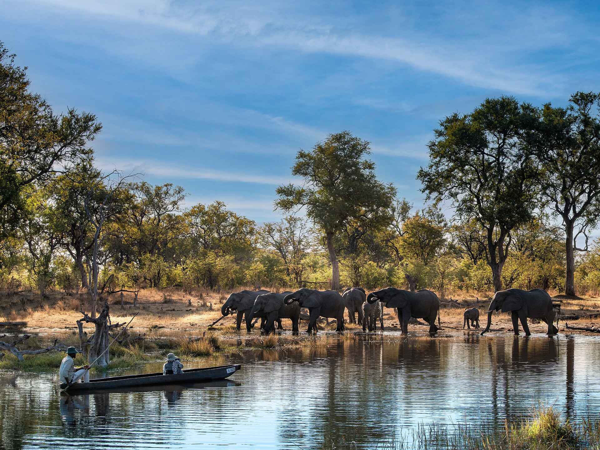 Khwai Lediba: Elefantenbegegnung