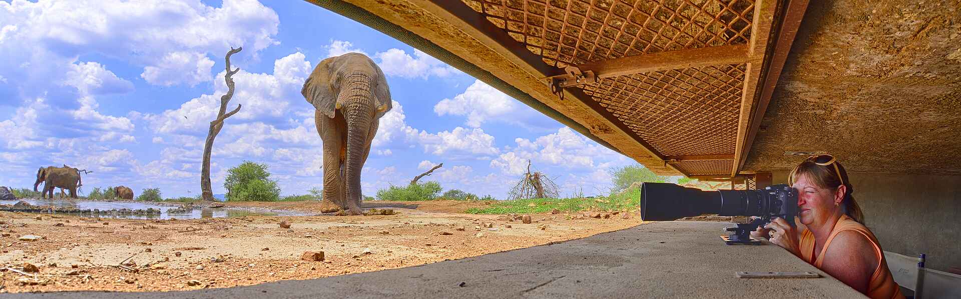 Last Word Madikwe Lodge: The Hide