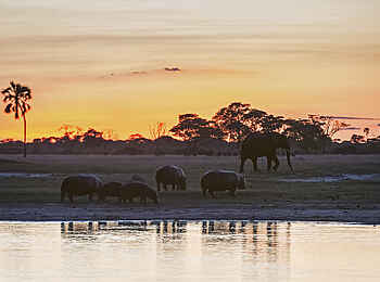 Linkwasha Camp: Flusslandschaft Linkwasha Camp: Flusslandschaft