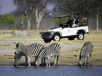 Little Makalolo Camp: Zeebras am Wasserloch Little Makalolo Camp: Zeebras am Wasserloch