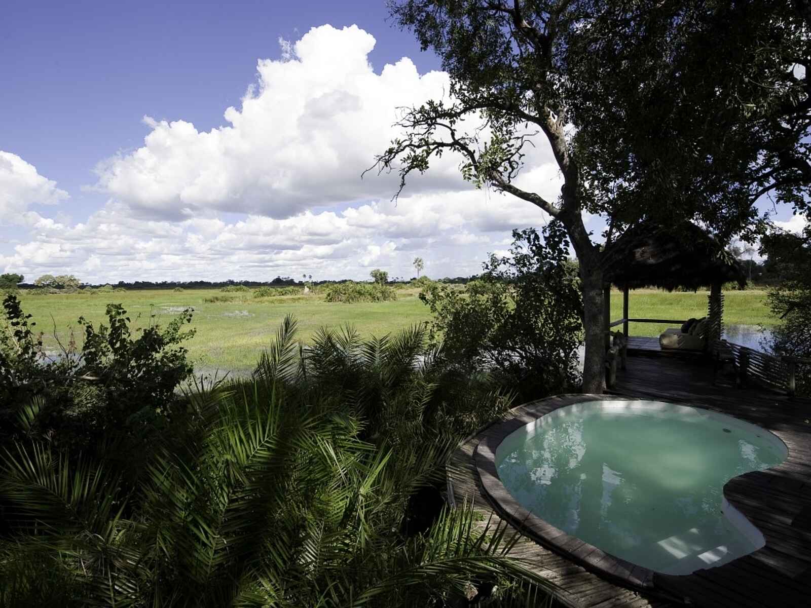 Little Mombo Camp: Pool und Flutebene Little Mombo Camp: Pool und Flutebene