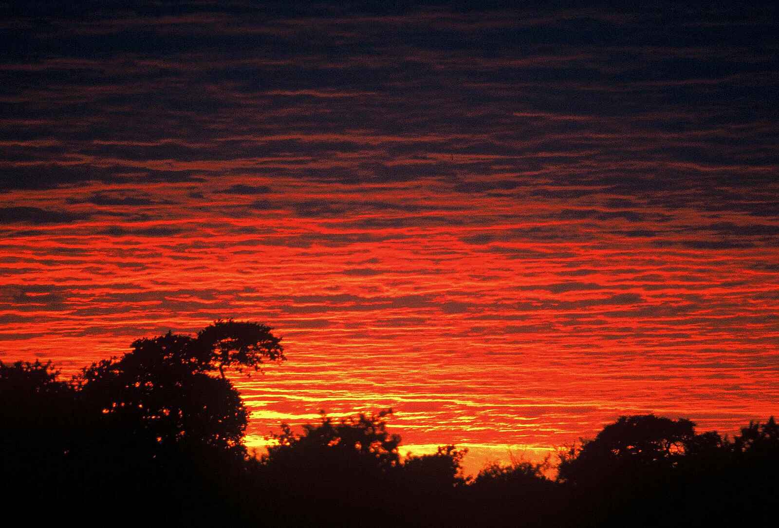 Machaba Camp: Glühender Abendhimmel Machaba Camp: Glühender Abendhimmel