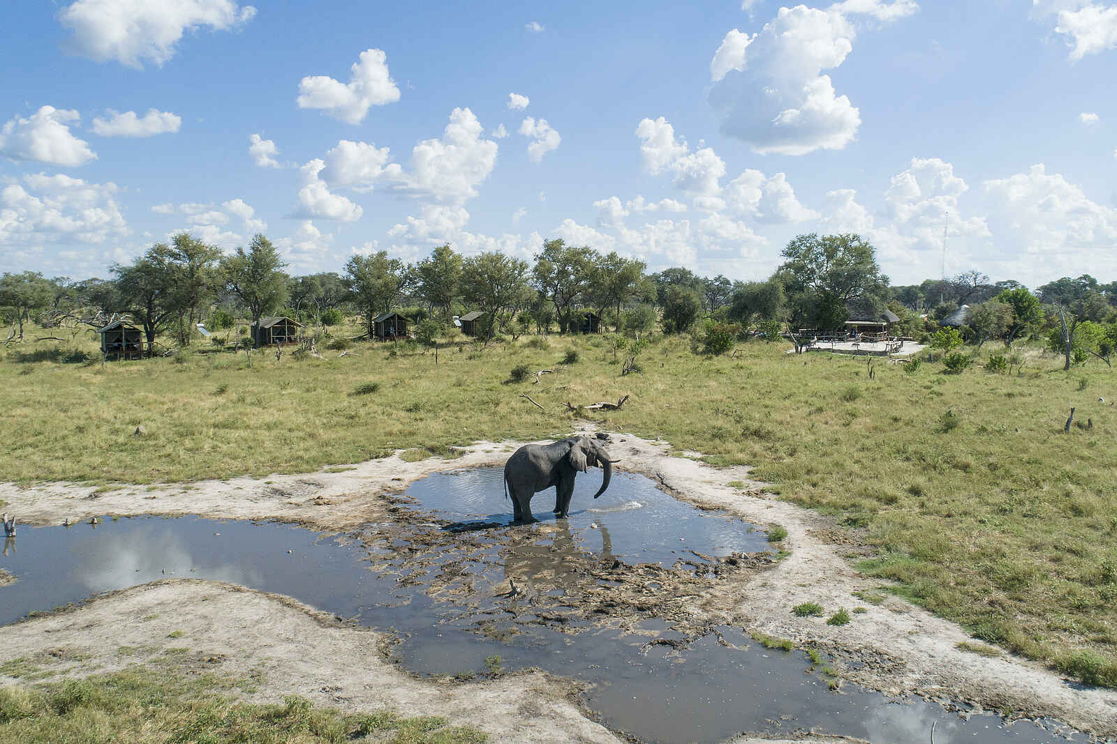 Mogogelo Camp: Elefant vor dem Camp Mogogelo Camp: Elefant vor dem Camp