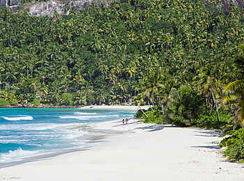 North Island: Spaziergang am Strand