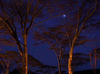 Saruni Wild: Afrikanischer Sternenhimmel Saruni Wild: Afrikanischer Sternenhimmel