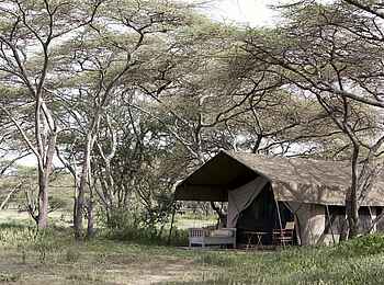 Serian Serengeti North: Gästezelt Serian Serengeti North: Gästezelt