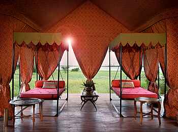 Jack's Camp: Tagesbetten