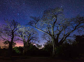Kuthengo Camp: Sterne über dem Camp Kuthengo Camp: Sterne über dem Camp