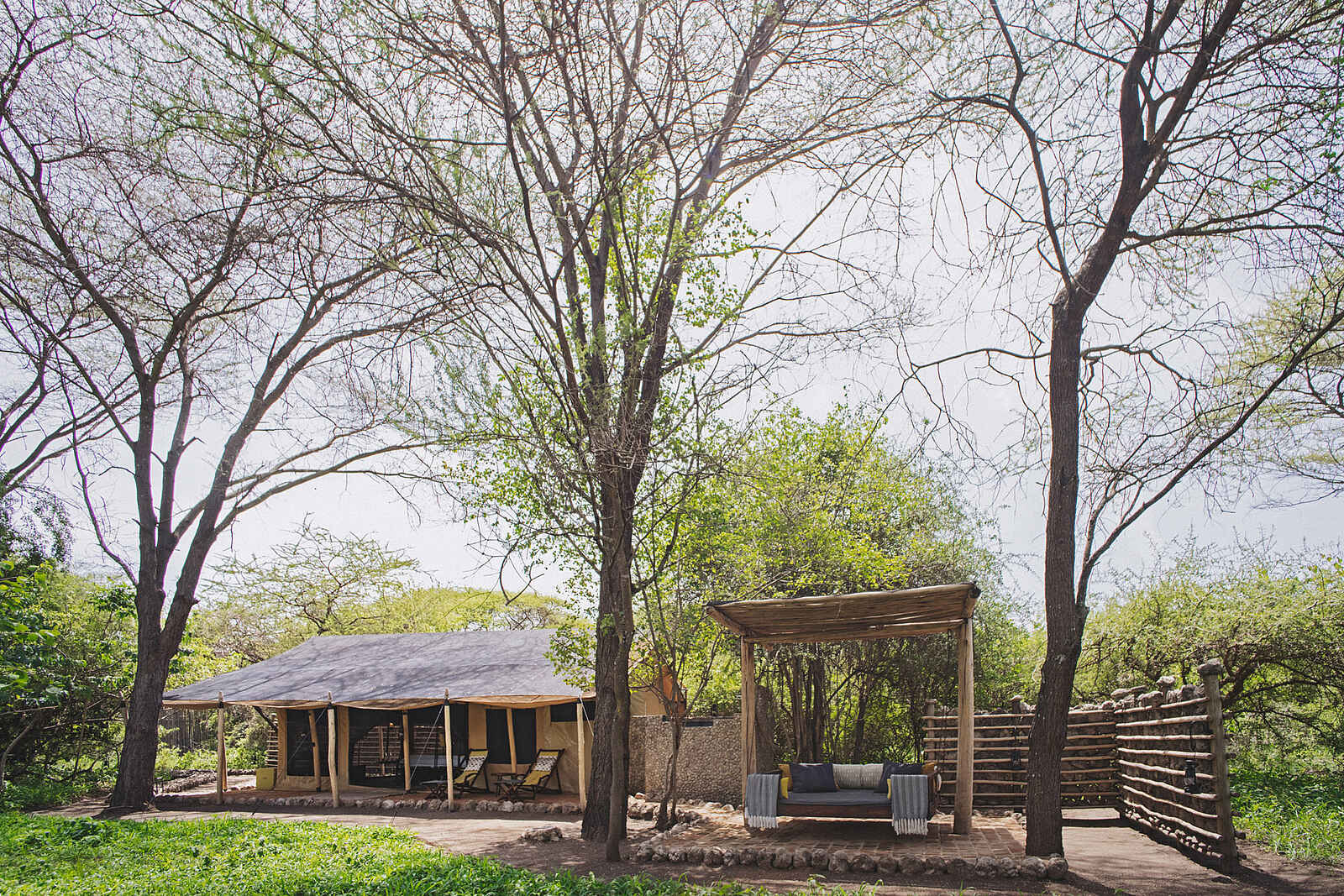 Forest Chem Chem: Blick auf ein Gästezelt Forest Chem Chem: Blick auf ein Gästezelt