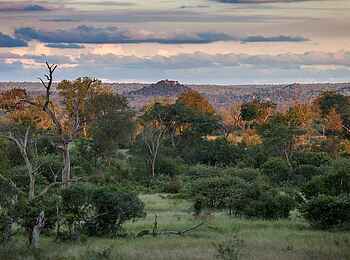 Londolozi Tree Camp: Umgebende Natur