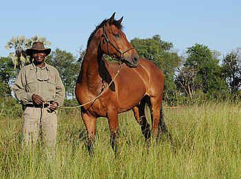 Macatoo Camp: Reitpersonal mit Brandenburger Pferd