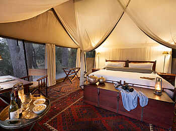 Okavango Explorers Camp: Das Doppelbett Okavango Explorers Camp: Das Doppelbett