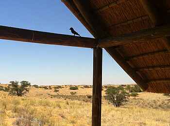 Rooiputs Lodge: Blick ins Gelände