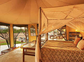 Sasaab Camp: Blick durchs Zelt Sasaab Camp: Blick durchs Zelt