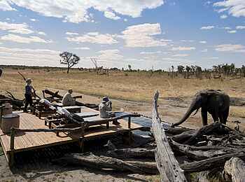 Somalisa Expeditions Camp: Terrasse und Pool