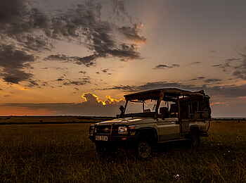 Tipilikwani Mara Camp: Pirschfahrt