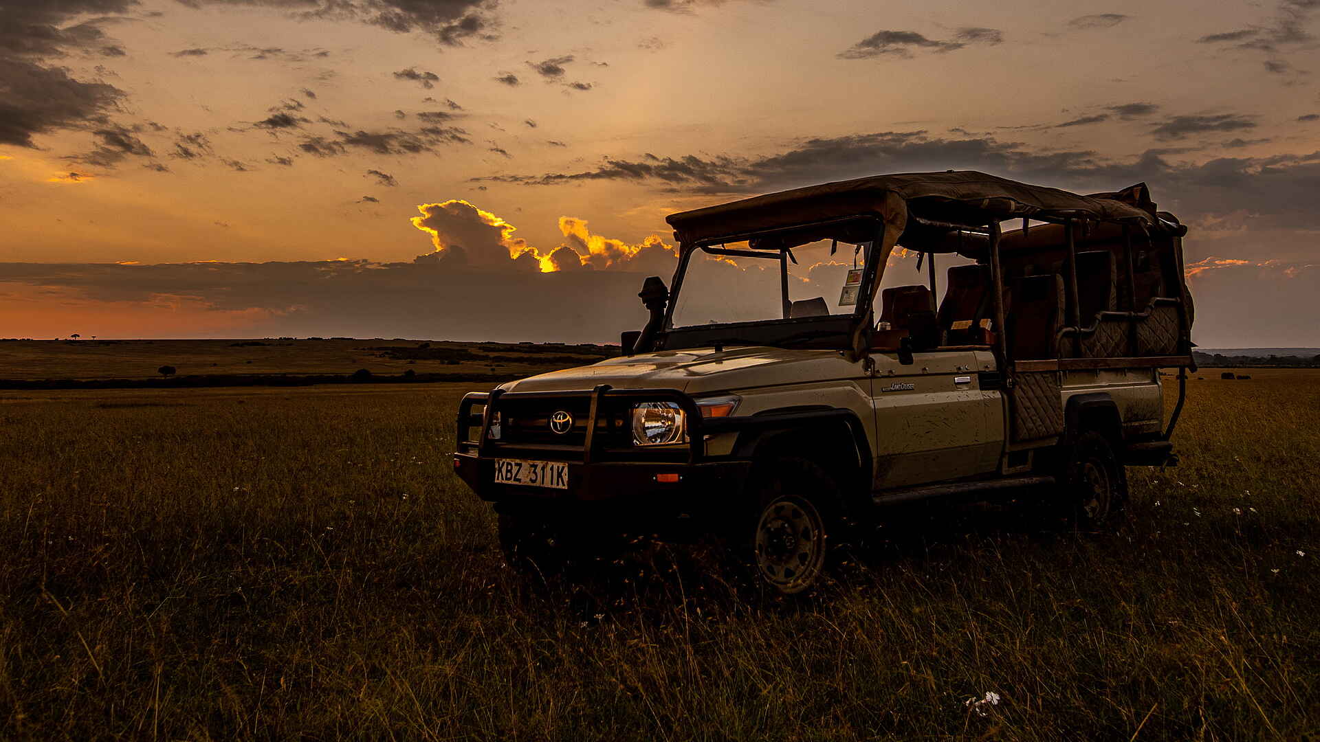 Tipilikwani Mara Camp: Pirschfahrt Tipilikwani Mara Camp: Pirschfahrt