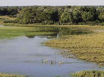 Tubu Tree: Luftbild vom Camp Tubu Tree: Luftbild vom Camp