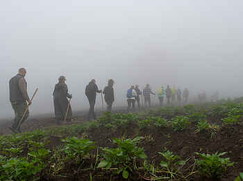 Wilderness Sabyinyo: Goldmeerkatzen Trekking Wilderness Sabyinyo: Goldmeerkatzen Trekking