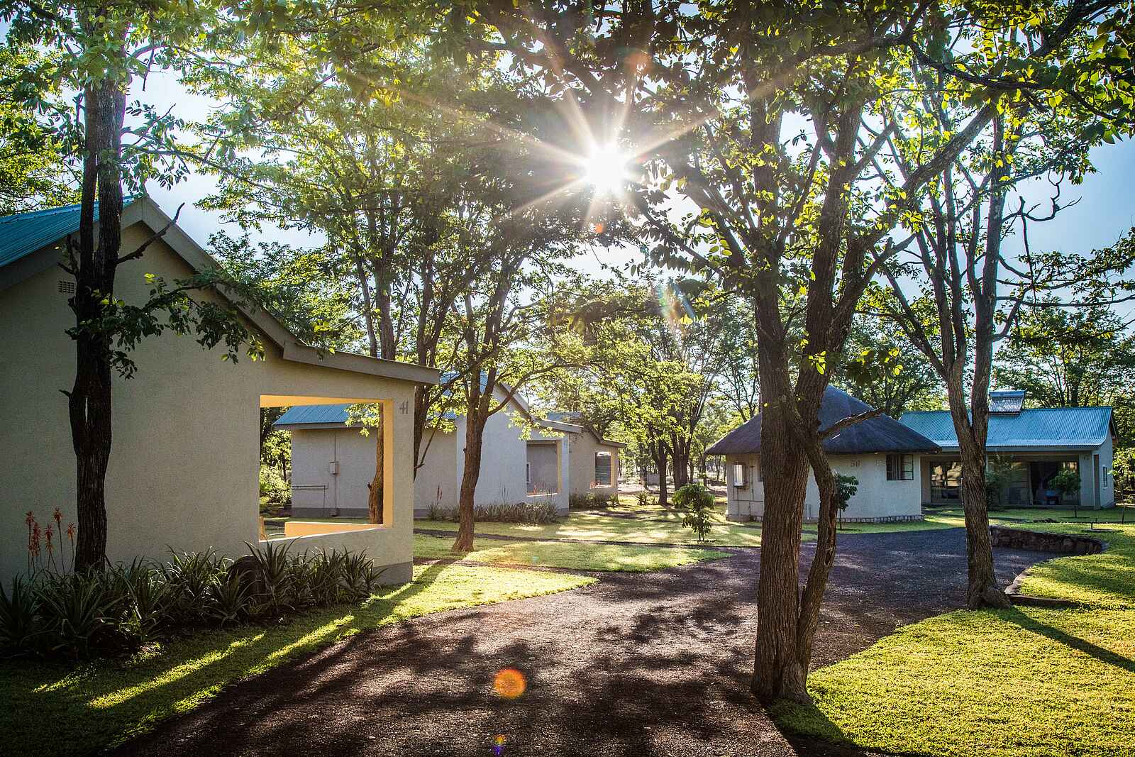 Robins Camp: Chalets unter den Bäumen Robins Camp: Chalets unter den Bäumen