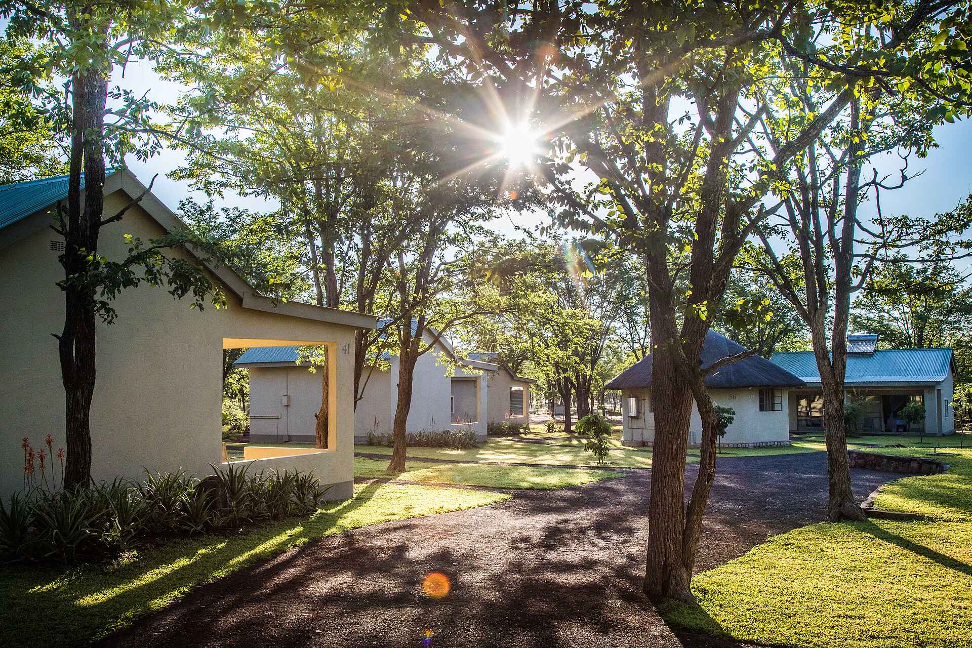 Afrikarma, Afrikarma Safaris, Afrikarma Safaris - Wildnis. Hautnah., Afrikarma.de, Robins Camp, Bäume, Blumenbeete, Chalets, Gehwege, Pflanzen