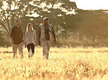 Time + Tide Nsolo: Einsame Wanderung