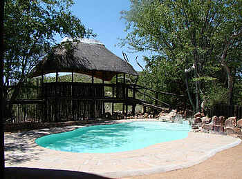 Hobatere Lodge: Pool Hobatere Lodge: Pool