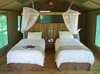 Nata Lodge: Einzelbetten im Gästezelt Nata Lodge: Einzelbetten im Gästezelt
